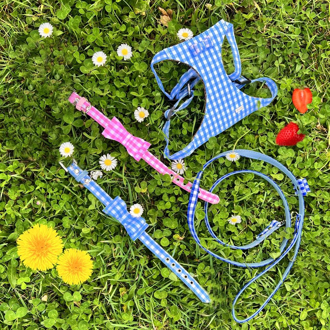 Jus de fruit Jardin BiO